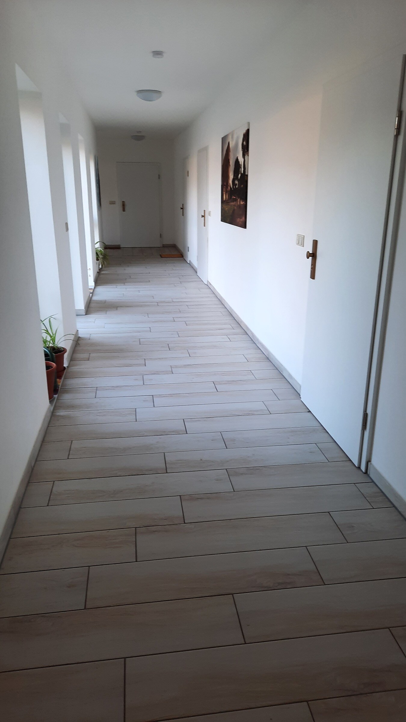 Altersgerechtes Wohnen – Residenz Veltheimsburg, Typ 1 – Bild 4 von 12