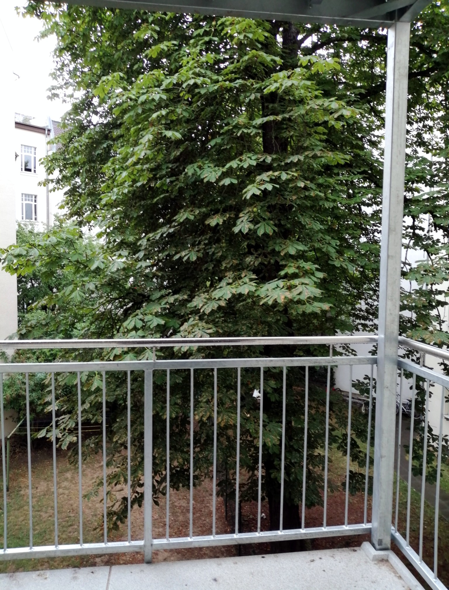 Wohn- und Geschäftshaus in der Magdeburger Altstadt – Bild 6 von 7